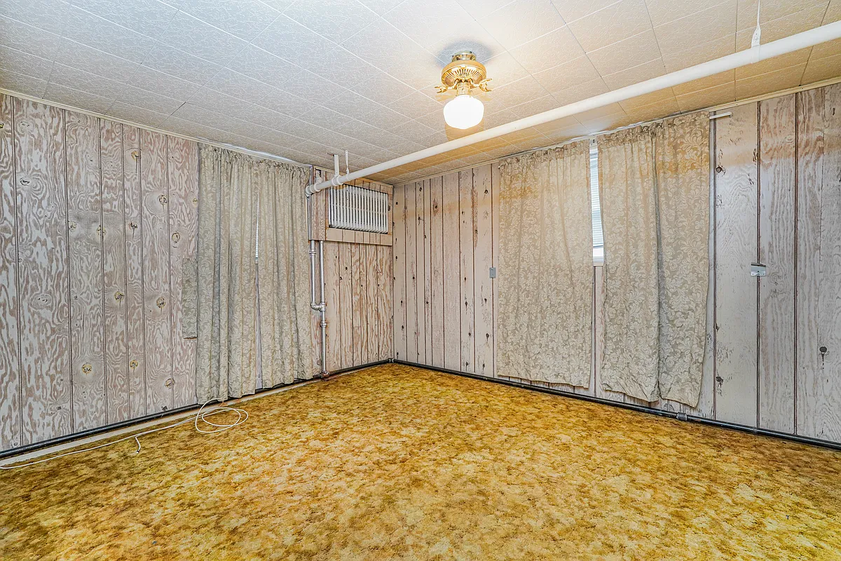 garden level room with paneling and gold plush carpet